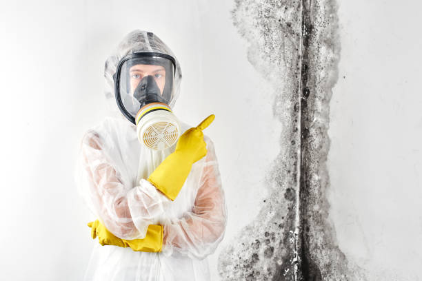 Why You Should Choose Our Mold Remediation Services in Glenvar Heights, FL