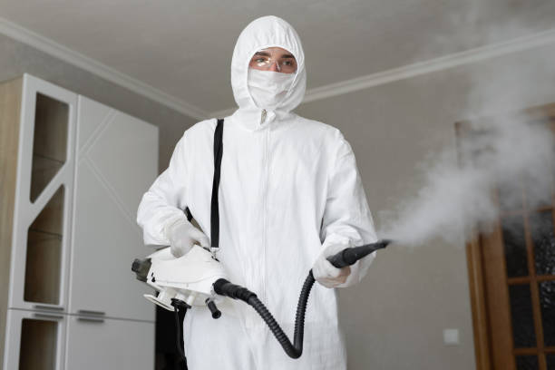 Trusted Glenvar Heights, FL Mold Removal Services Experts